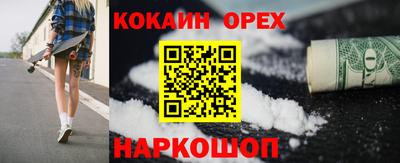 стаф Кандалакша