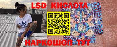гашик Камышлов