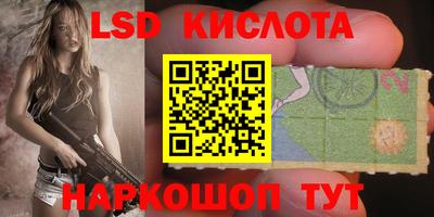 стаф Кандалакша