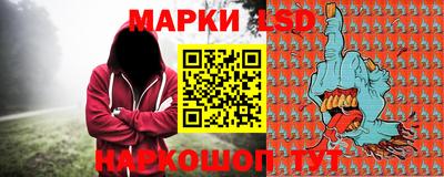 гашик Камышлов