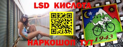 стаф Кандалакша