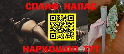 гашик Камышлов