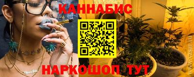 стаф Кандалакша