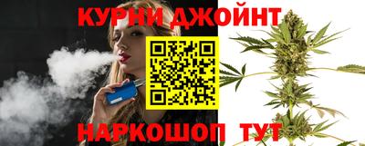 гашик Камышлов