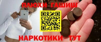 гашик Камышлов
